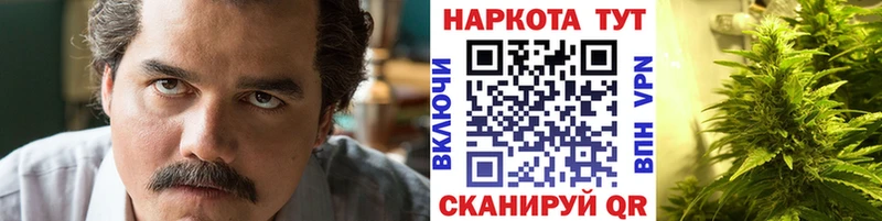 Как найти закладки Зерноград Героин  Галлюциногенные грибы  КОКАИН  ГАШ  ссылка на мегу зеркало  Каннабис  Меф мяу мяу 