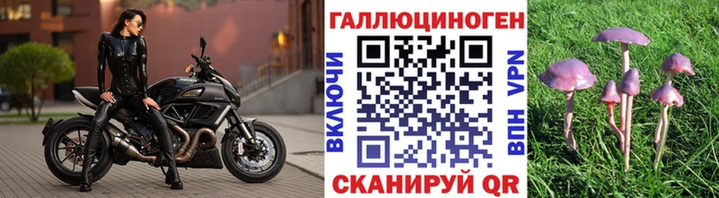 Псилоцибиновые грибы мицелий  наркотики  Зерноград 