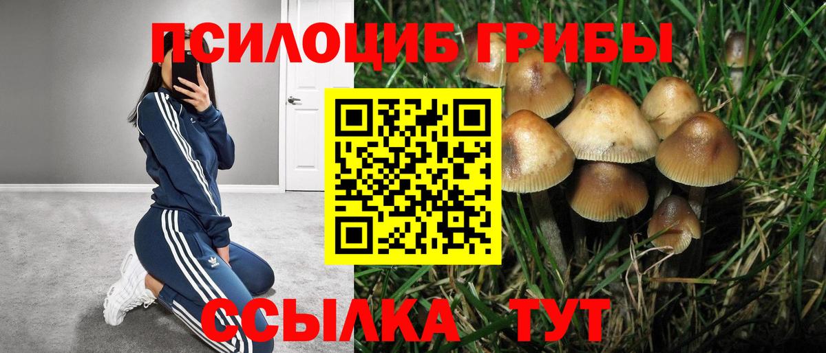 Галлюциногенные грибы MAGIC MUSHROOMS  Вход с VPN  Зерноград 