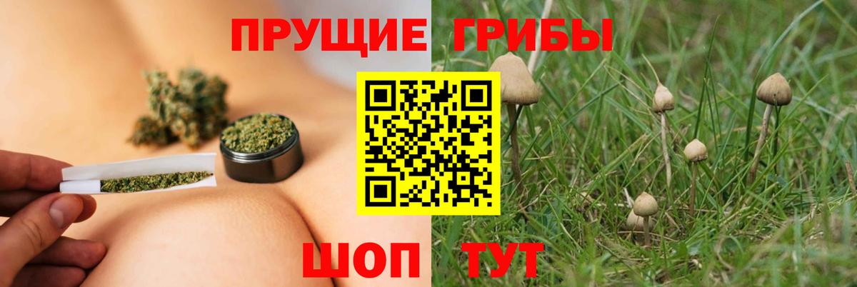 Галлюциногенные грибы ЛСД Зерноград